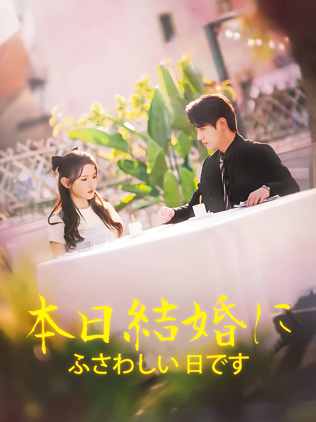 本日、結婚に ふさわしい 日ですミニシリーズ