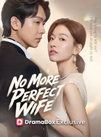 No More Perfect WifeMini Series