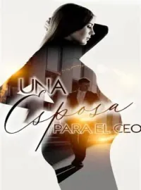 Portada de la novela Una Esposa y un bebe para el ceo