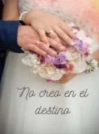 Portada de la novela No creo en el destino