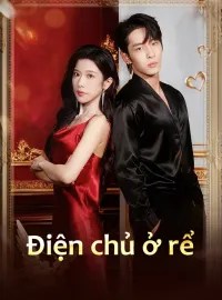 Điện chủ ở rể