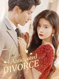 The Anticipated DivorceMini Series