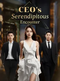 CEO's Serendipitous EncounterMini Series