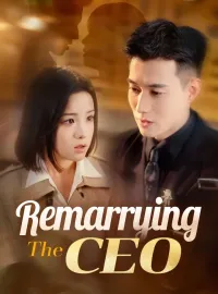 Remarrying The CEOMini Series