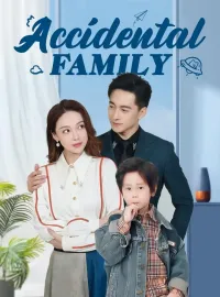 Accidental FamilyMini Series