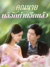 คุณนายบล็อกท่านอีกแล้วมินิซีรีส์