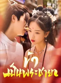 ข้าเป็นพระชายา