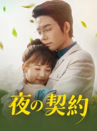 夜の契約ショートドラマ