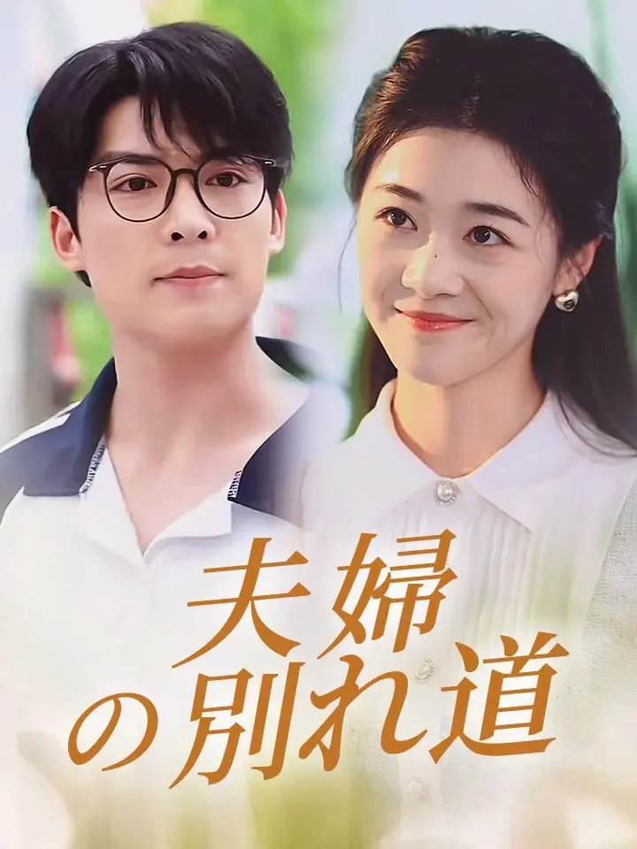 夫婦の別れ道ミニシリーズ