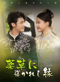 薬草に導かれし縁ショートドラマ