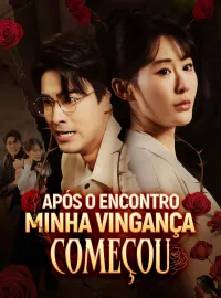 Após o Encontro, Minha Vingança Começou Mini Séries