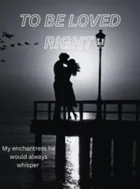To be loved right Novel Cover