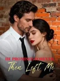 He Promised Forever, Then Left Me Novel Cover