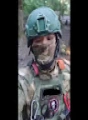 яна ПРО 100 Я