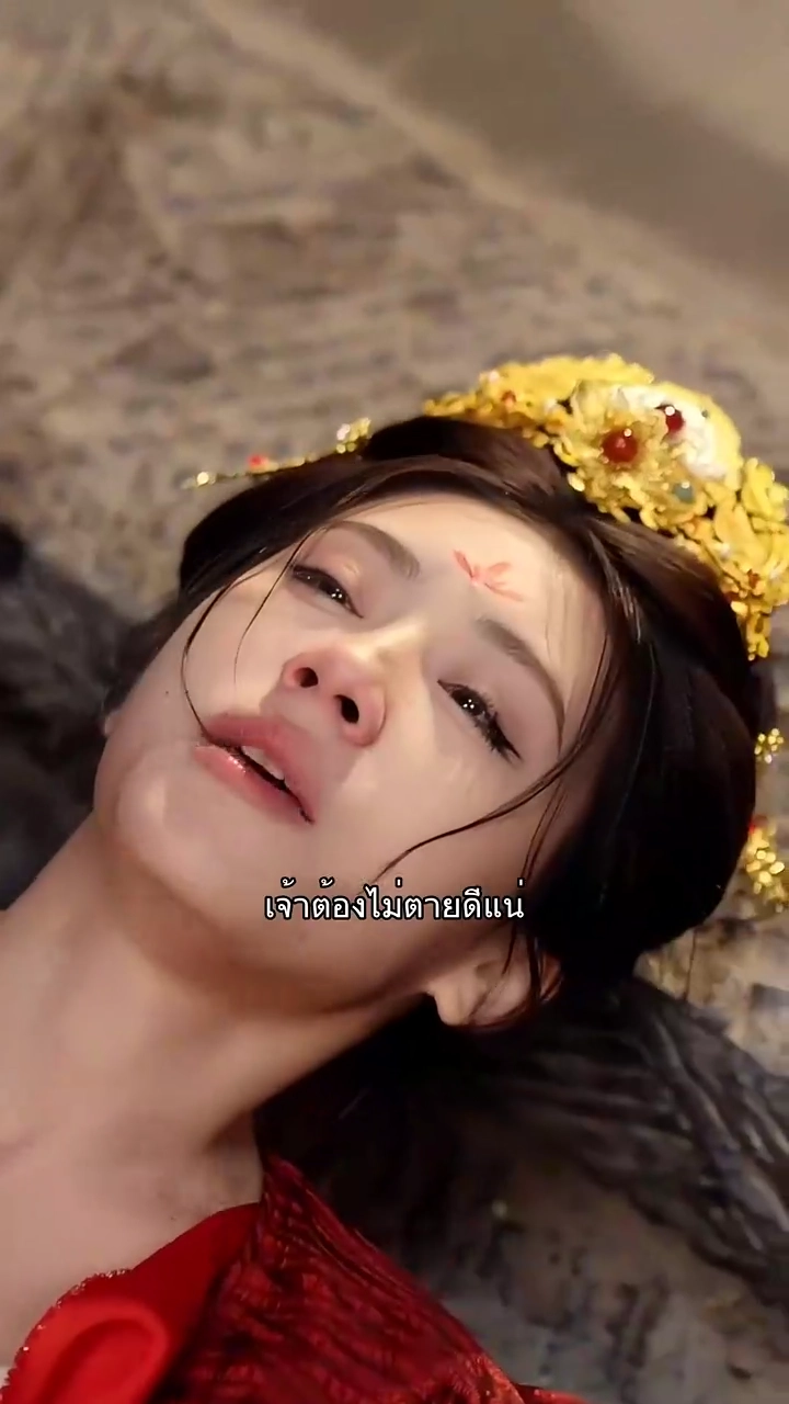 ฟีนิกซ์บนต้นอู๋ถงรูปภาพ