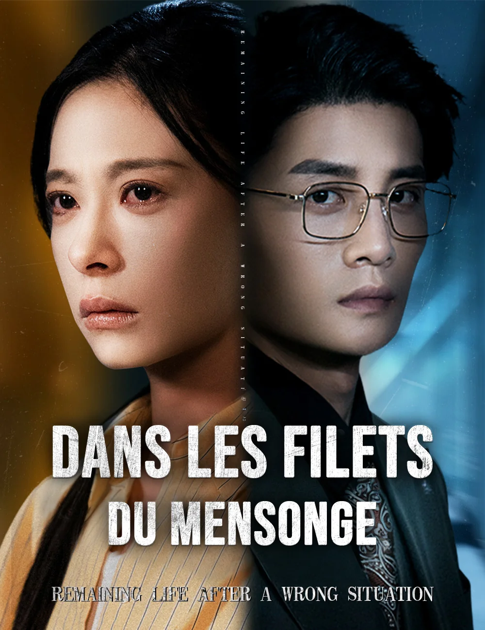 Dans les filets du mensongeMini-séries