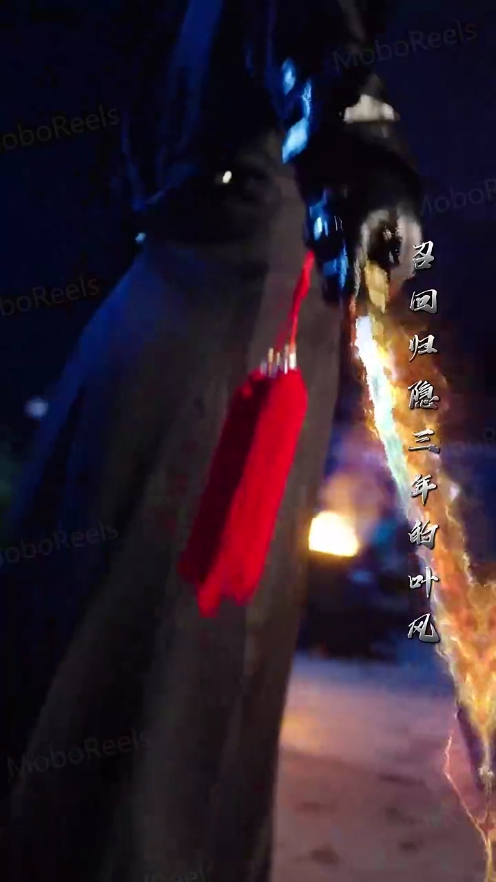 The Divorced Lord Of The NightPhoto