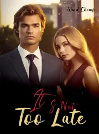 It's Not Too Late Novel Cover