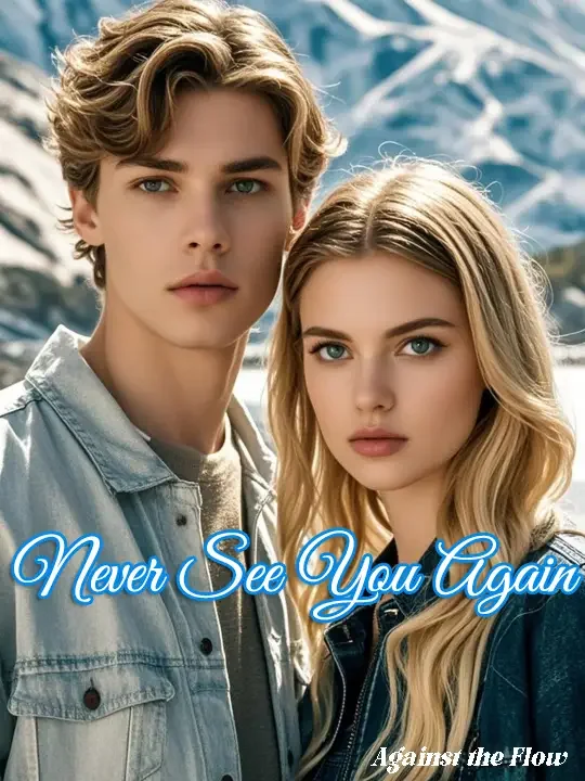 Never See You Again Novel Cover