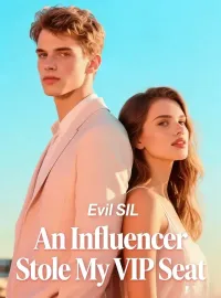 An Influencer Stole My VIP Seat Novel Cover