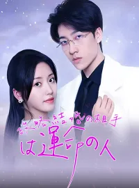 政略結婚の相手は運命の人ショートドラマ