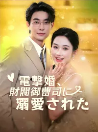電撃婚、財閥御曹司に溺愛されたミニシリーズ