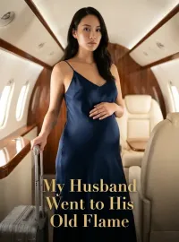 My Husband Went to His Old Flame Novel Cover