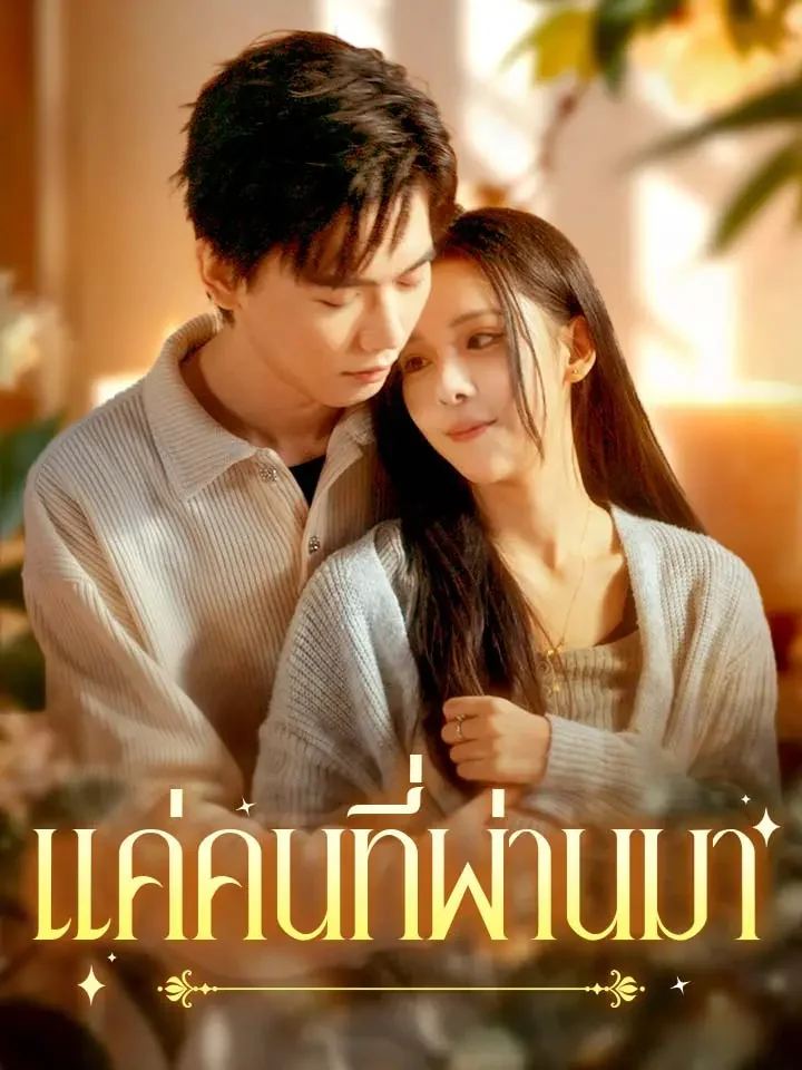 แค่คนที่ผ่านมามินิซีรีส์