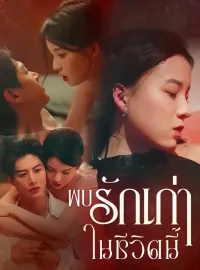 พบรักเก่าในชีวิตนี้ซีรีส์สั้น