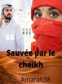 Couverture du roman Sauvée par le cheikh