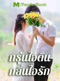 หน้าปกนวนิยาย กรุ่นไอดินกลิ่นไอรัก