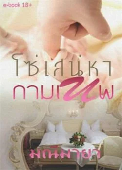 ภาพปกนิยายเรื่อง โซ่เสน่หากามเทพ