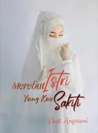 Sampul Novel Merebut Istri Yang Kau Sakiti