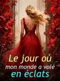 Couverture du roman Le jour où mon monde a volé en éclats