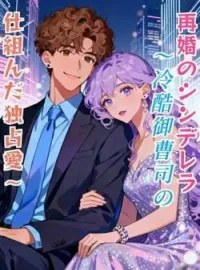 再婚のシンデレラ～冷酷御曹司の仕組んだ独占愛～ の小説カバー