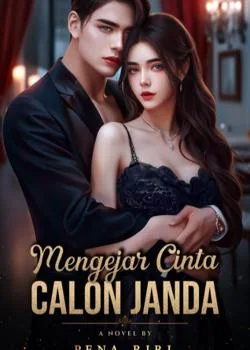 Sampul Novel Mengejar Cinta Calon Janda