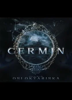 Sampul Novel Cermin