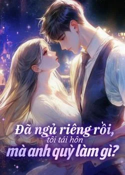 Bìa tiểu thuyết Đã ngủ riêng rồi, tôi tái hôn mà anh quỳ làm gì?