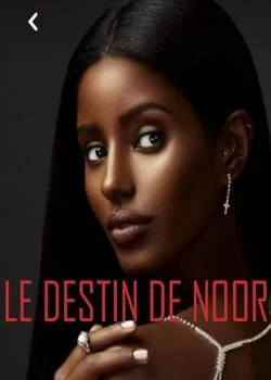 Couverture du roman LE DESTIN DE NOOR