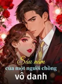 Bìa tiểu thuyết Sáu năm của một người chồng vô danh