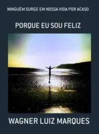 Capa do romance NINGUÉM SURGE EM NOSSA VIDA POR ACASO