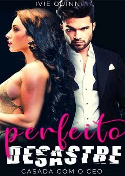 Capa do romance Perfeito Desastre 