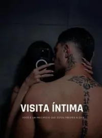 Capa do romance Visita íntima