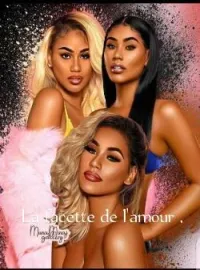 Couverture du roman La facette de l'amour.