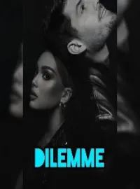 Couverture du roman Le dilemme