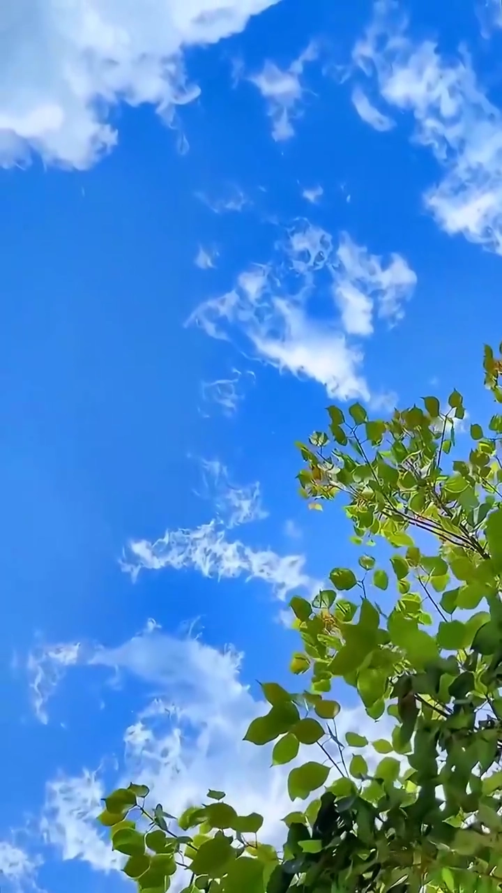 The Princess And The TrampPhoto