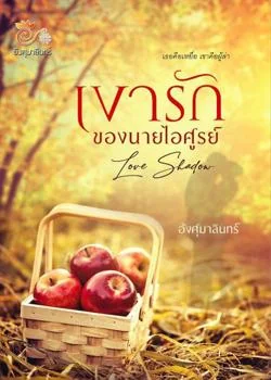 ภาพปกนิยายเรื่อง เงารักของนายไอศูรย์