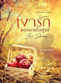 หน้าปกนวนิยาย เงารักของนายไอศูรย์
