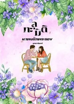 หน้าปกนวนิยาย ทะลุมิติมาพบรักพระรอง