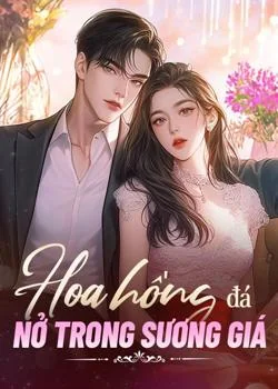Bìa tiểu thuyết Hoa hồng đá nở trong sương giá